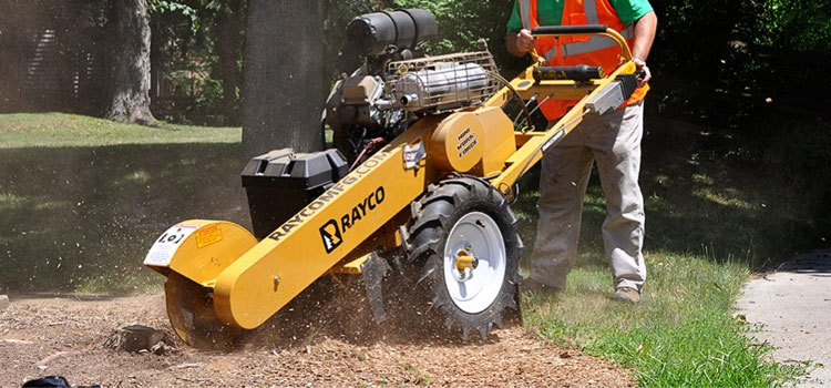 Fresa Ceppi RG 25 HD